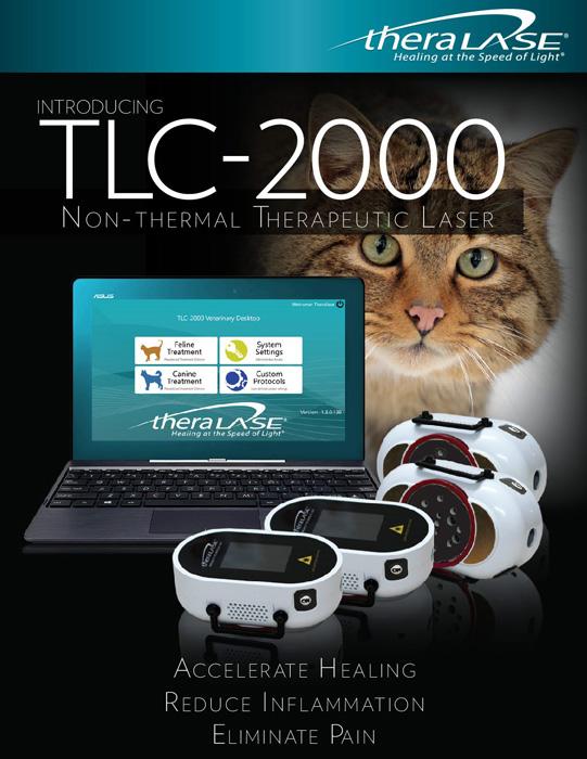 TLC-2000 non-thermal therapeutic laser