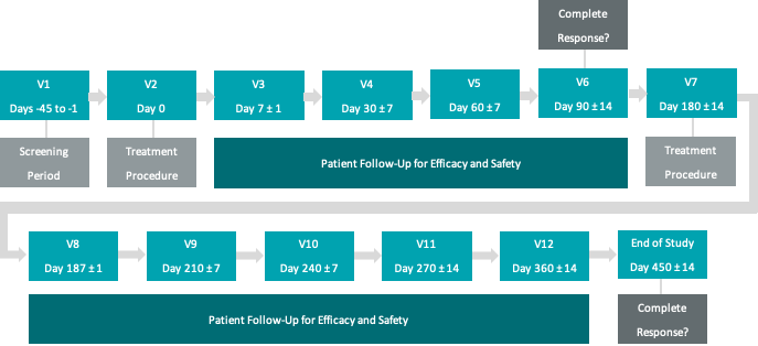 Phase II NMIBC Clinical Study